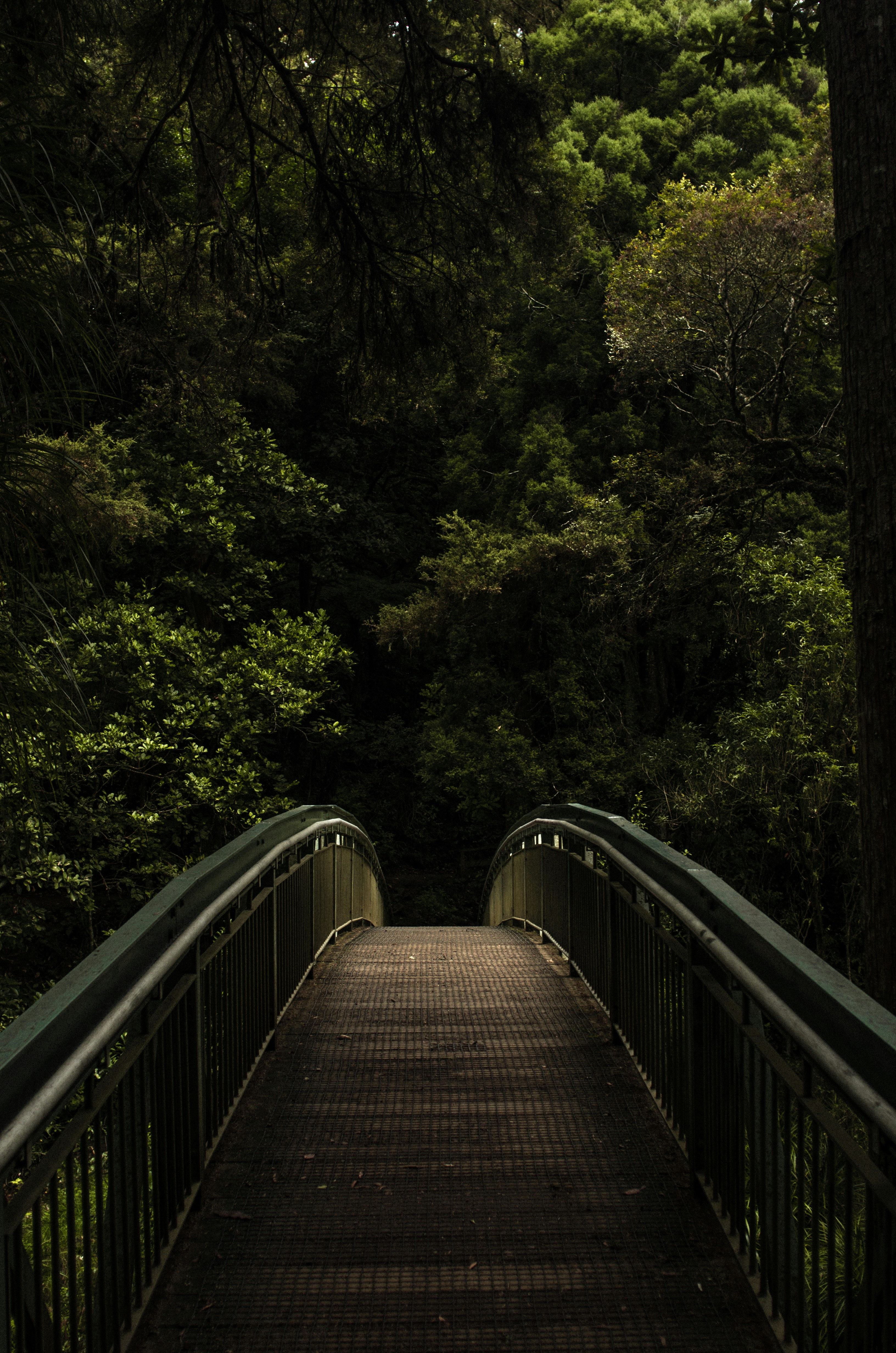 Bridge